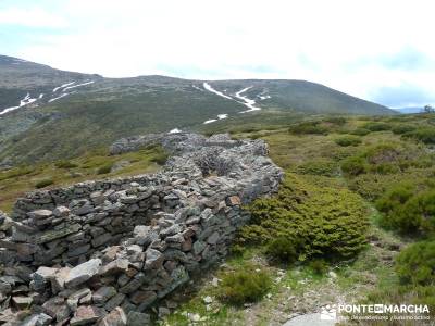 Peña Cítores, Cumbre Peñalara; escapada fin de semana; senderismo maravilloso